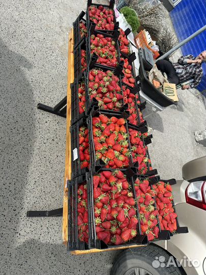 Свежая клубника Азербайджанская