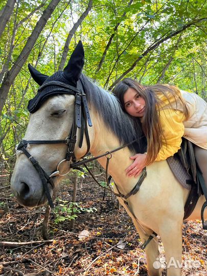 Конные прогулки в Уфе