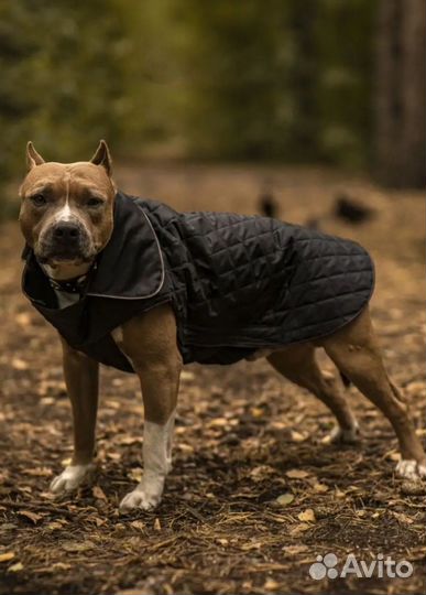 Новая куртка, попона, комбинезон 30, 40, 50 см