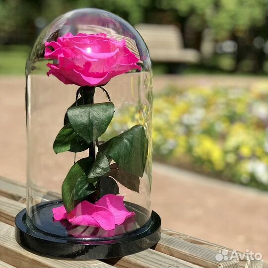 Роза в колбе premium