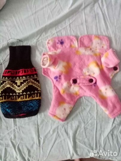 Вещи для животныхи