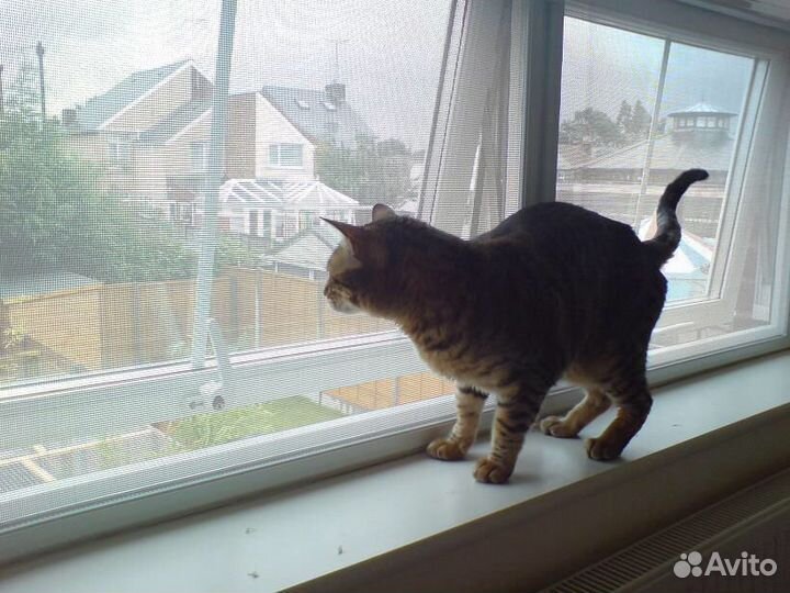 Москитные сетки