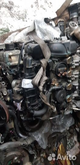 Audi Q5 A4 A5 A6 двигатель caeb caed 2.0 211 л.с