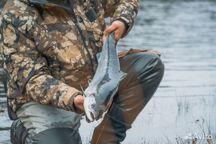 Рыболовный гид на Кольском полуострове