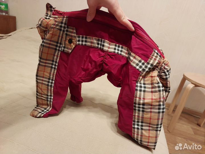 Комбинезон для собаки-девочки