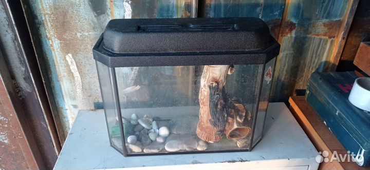 Аквариум