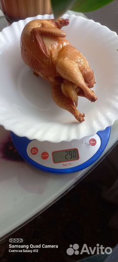 Перепелка копченая,мясо бройлер,мясо кролика