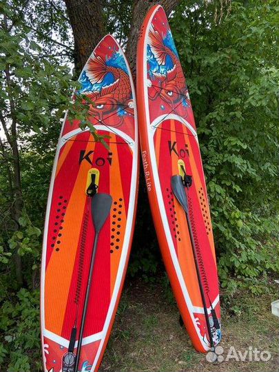 Аренда Сап бордов Koi