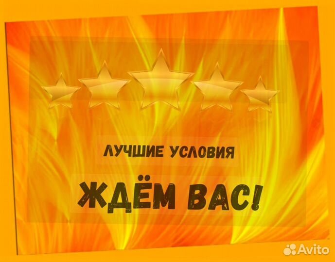 Сортировщик Еженедельный аванс Спецодежда М/Ж