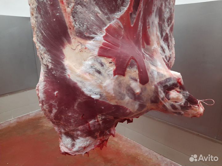 Говядина охлаженная быки шейные в полутушах