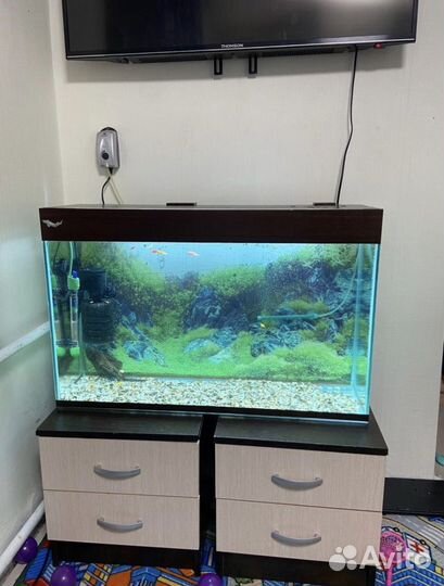 Аквариум 90 литров