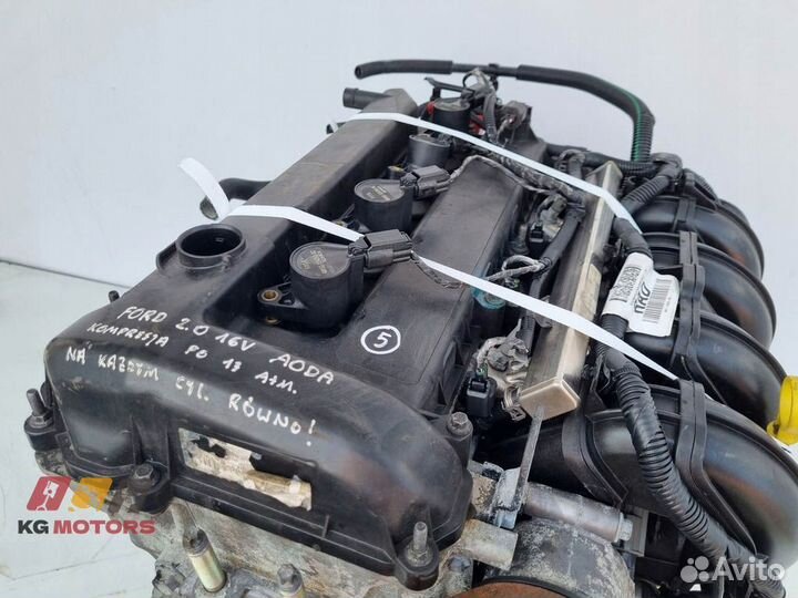 Двигатель Ford Focus aoda с навесным