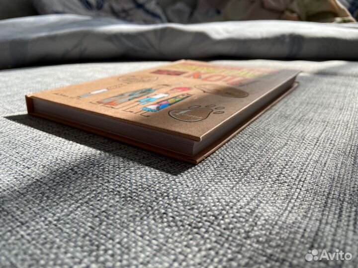 Анна Беловицкая Английский язык грамотные коты