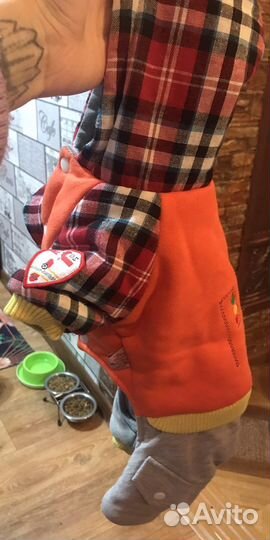 Костюм для собаки