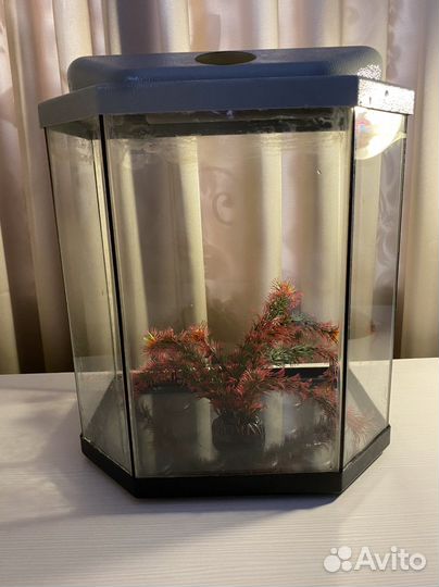 Аквариум для рыбок и черепашек
