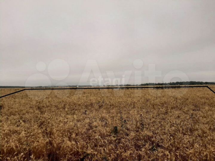 Участок 2,35 га (СНТ, ДНП)