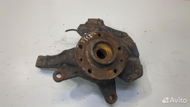 Ступица (кулак, цапфа) Citroen Jumpy (Dispatch), 2009