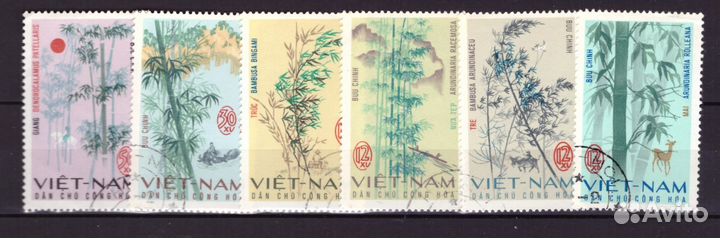 Вьетнам, 1967. Растения, бамбук (гаш.)