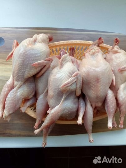 Мясо перепелов