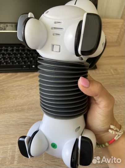 Собака робот. Новая