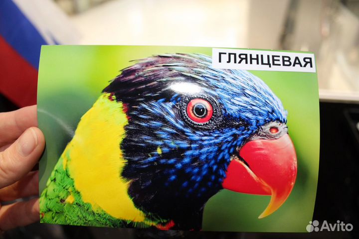Печать фотографий 10х15