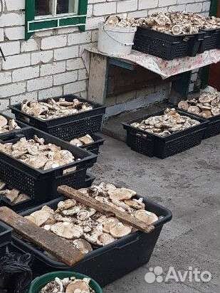 Грузди грибочки супер