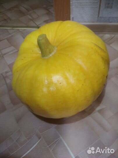 Тыква,кабачки