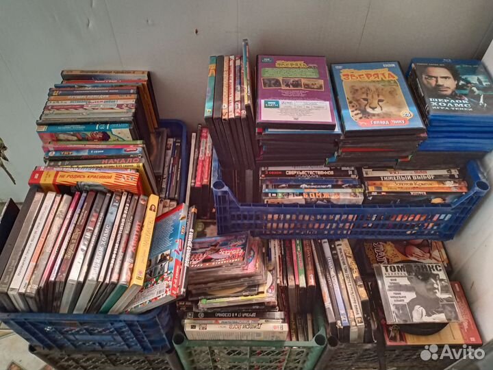 Двд диски фильмы dvd