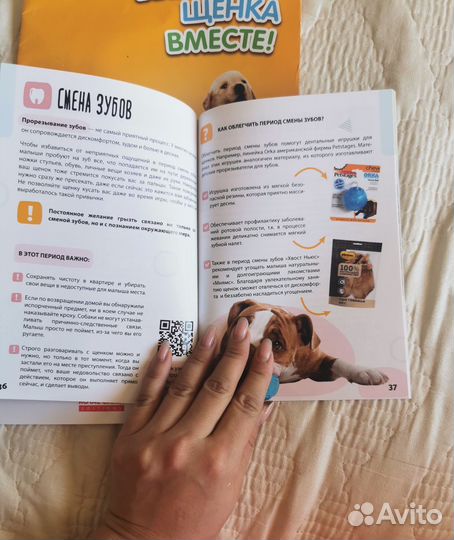 Руководство по воспитанию щенков