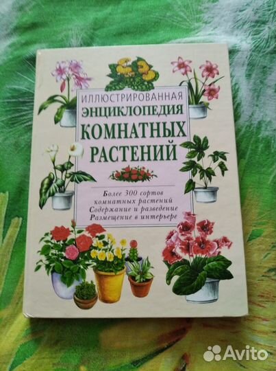 Энциклопедия комнатных растений