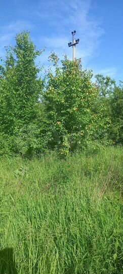 Участок 11 сот. (ИЖС)