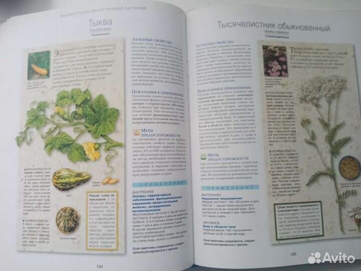 Энциклопедия лекарственных растений