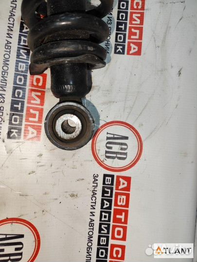 Стойка задняя правая toyota allex