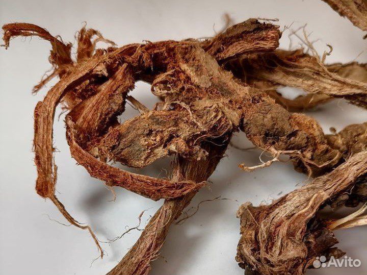 Лекарственные травы от заготовителей