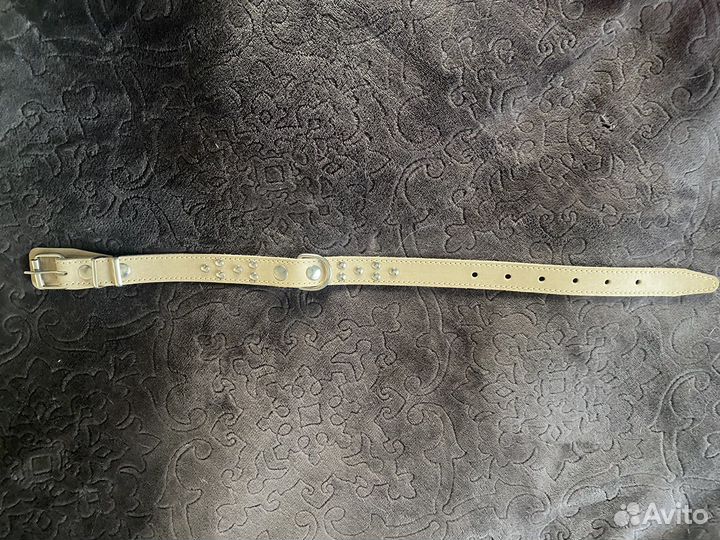 Шлейка, поводок, ошейник