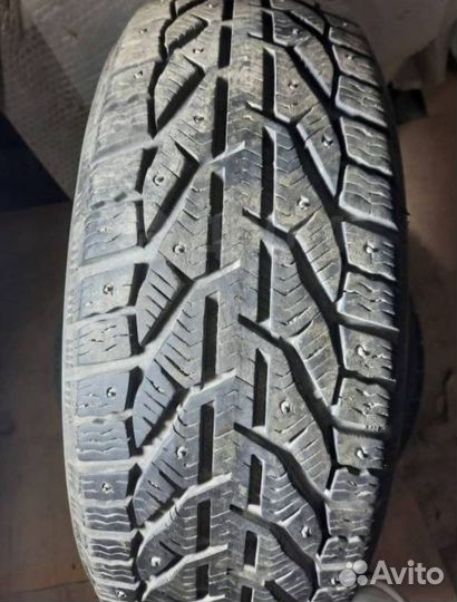 Tigar Ice 205/55 R16