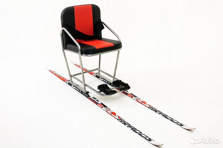 Сидячие лыжи для детей с дцп 