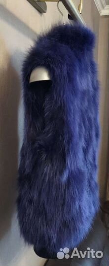 Синий жилет, песец