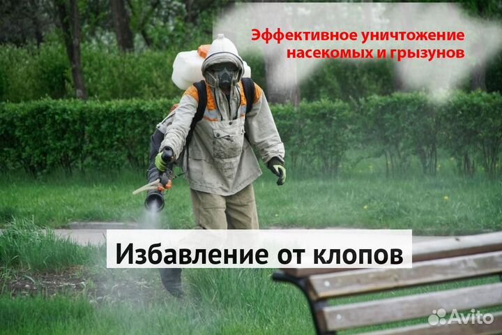 Уничтожение клопов тараканов грызунов грибка плесе