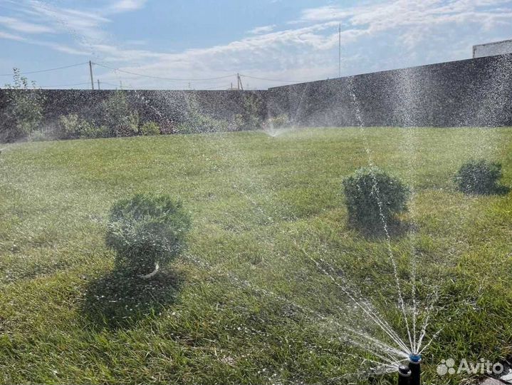 Рулонный газон