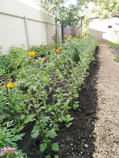 Дача 84 м² на участке 10 сот.