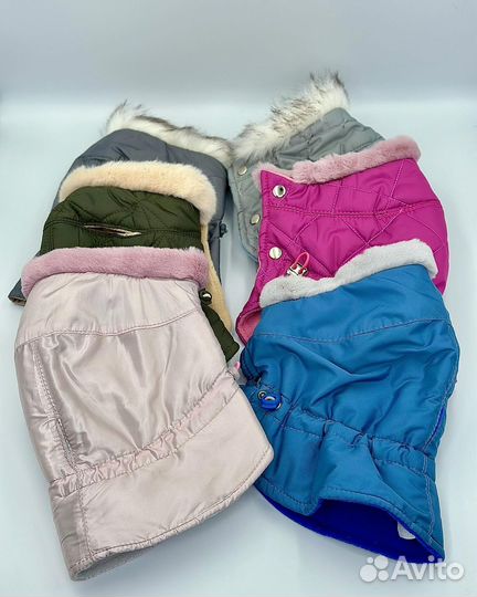 Зимние шапки для собак