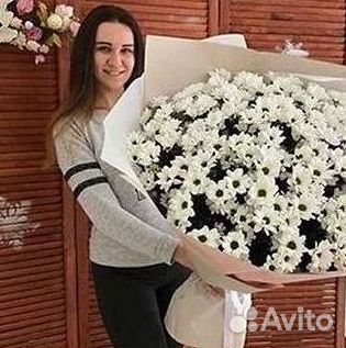 Хризантема Цветы Доставка
