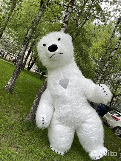 Белый медведь