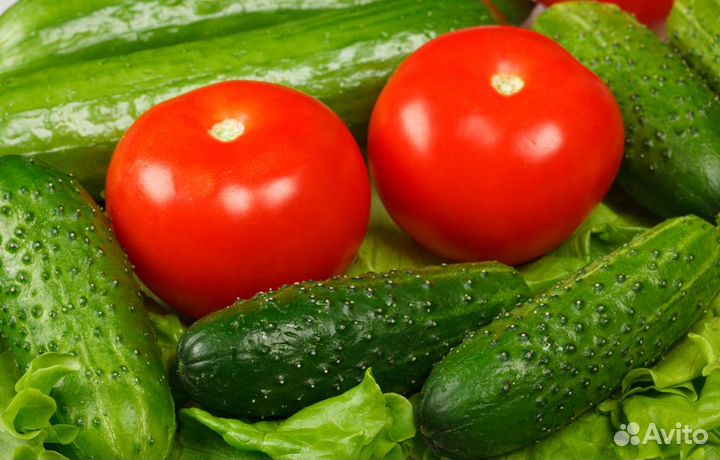 Рабочий на Консервный Завод/Проживание+Питание