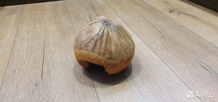 Домик для грызунов 