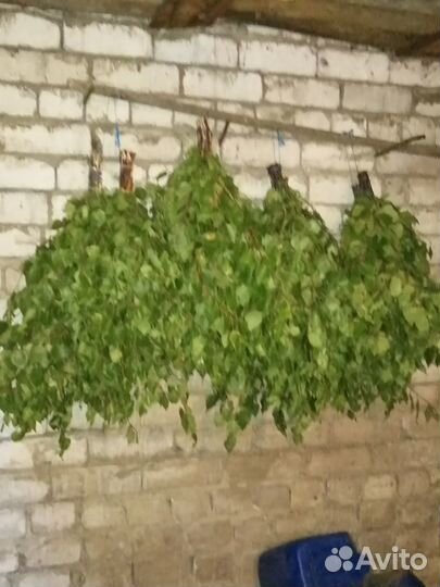 Березовые веники