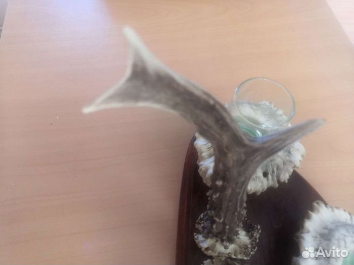 Подарочный набор