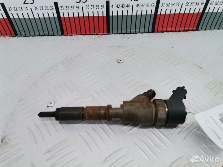 Форсунка для Peugeot-Citroen Picasso