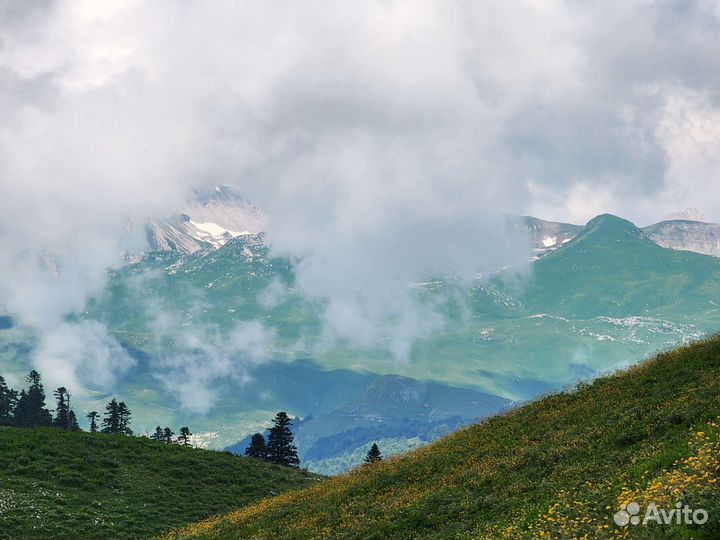 Экскурсии по абхазии